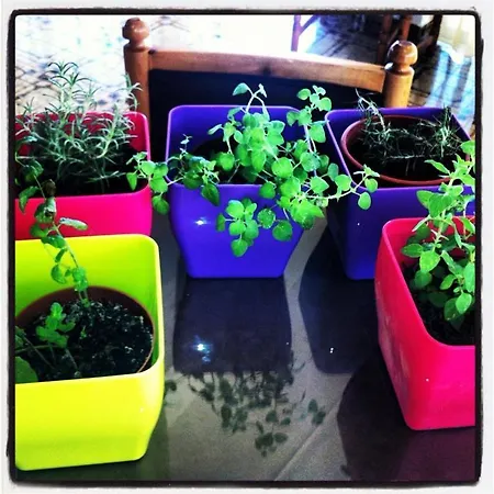 Laura 2* Lambi (Kos)